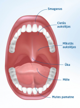 shēma ar mutes uzbūvi