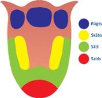 Mēles garšu shēma